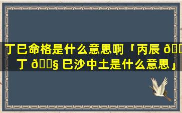丁巳命格是什么意思啊「丙辰 🐛 丁 🐧 巳沙中土是什么意思」